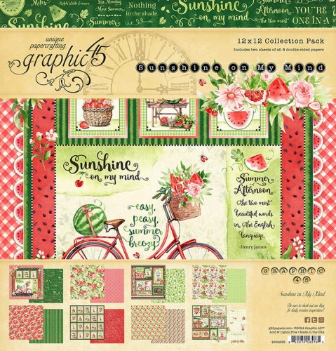 4502839-Sunshine-on-My-Mind-cover-12x12-1.jpg