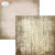C035-4.webp