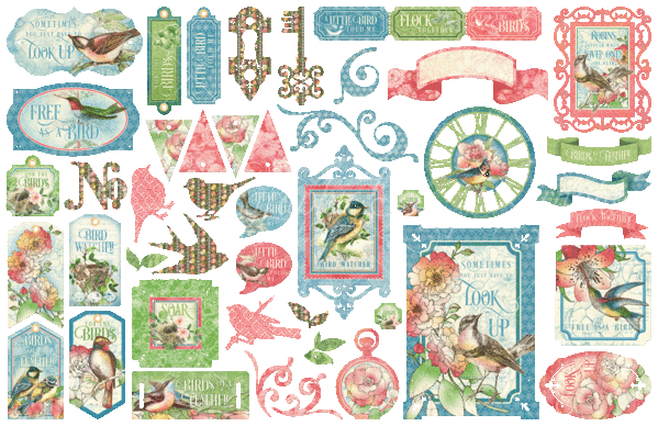 graphic-45-bird-watcher-die-cut-assortment-4502216 (1).webp