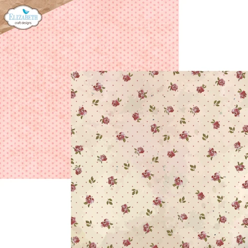 C036-2.webp