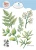 2308-1.webp