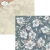 CO38-03.webp
