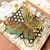 2113-5.webp