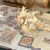 Stamped Wings 9.webp