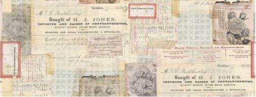 Idea-Ology-Collage-Paper-Document-15cmx5.5m-TH93951-Tim-Holtz (1)