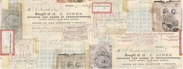 Idea-Ology-Collage-Paper-Document-15cmx5.5m-TH93951-Tim-Holtz (1)