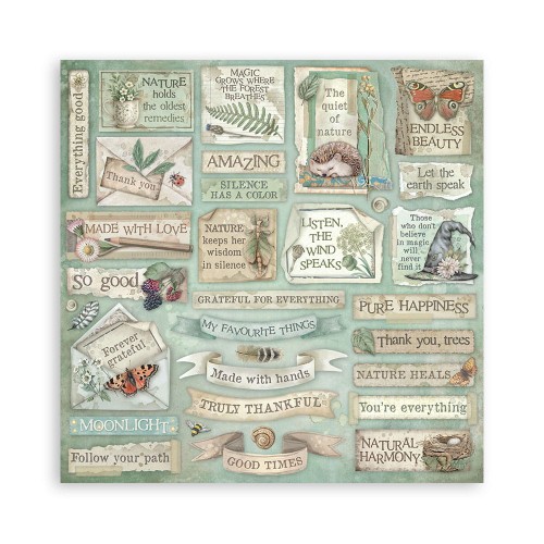 Zestaw papierów do scrapbookingu 30x30 - Herbarium Silvae - Stamperia SBBL179_1A.jpg