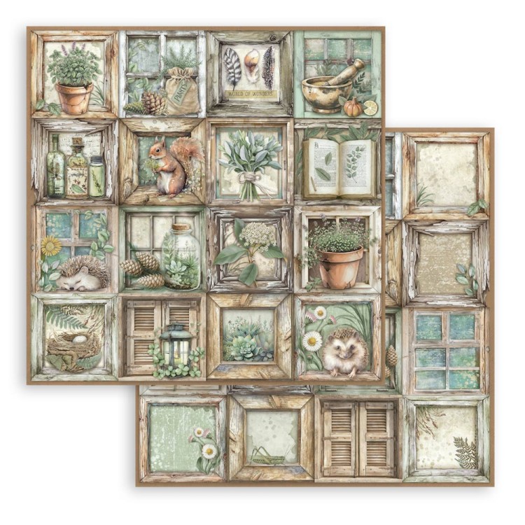 Zestaw papierów do scrapbookingu 30x30 - Herbarium Silvae - Stamperia SBBL179_6.jpg
