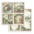Zestaw papierów do scrapbookingu 30x30 - Herbarium Silvae - Stamperia SBBL179_8.jpg