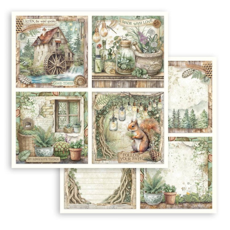 Zestaw papierów do scrapbookingu 30x30 - Herbarium Silvae - Stamperia SBBL179_8.jpg