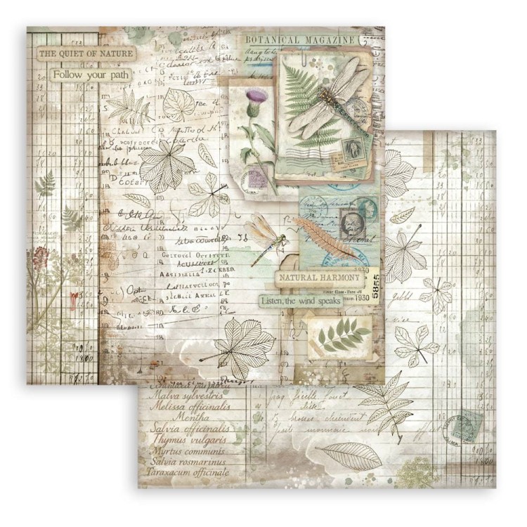 Zestaw papierów do scrapbookingu 30x30 - Herbarium Silvae - Stamperia SBBL179_11.jpg