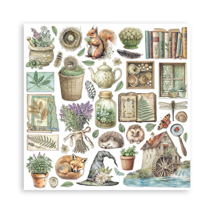 Zestaw papierów do scrapbookingu 30x30 - Herbarium Silvae - Stamperia SBBL179_12.jpg