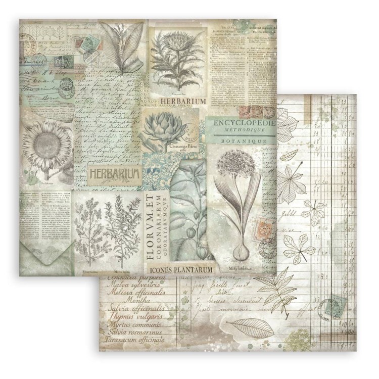 pol_pl_Zestaw-papierow-do-scrapbookingu-30x30-Herbarium-Silvae-tla-Stamperia-153882_8.jpg