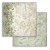 pol_pl_Zestaw-papierow-do-scrapbookingu-30x30-Herbarium-Silvae-tla-Stamperia-153882_12.jpg
