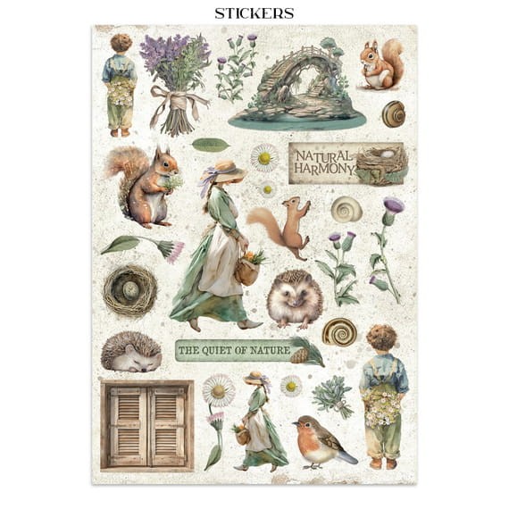 pol_pm_Zestaw-papierow-naklejek-i-elementow-Junk-Journal-Herbarium-Silvae-Stamperia-153891_12.jpg
