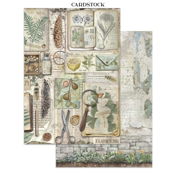 pol_pm_Zestaw-papierow-naklejek-i-elementow-Junk-Journal-Herbarium-Silvae-Stamperia-153891_13.jpg