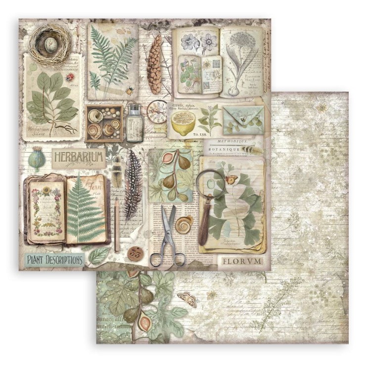 Zestaw papierów do scrapbookingu 20x20 Herbarium Silvae - Stamperia SBBS135_7.jpg