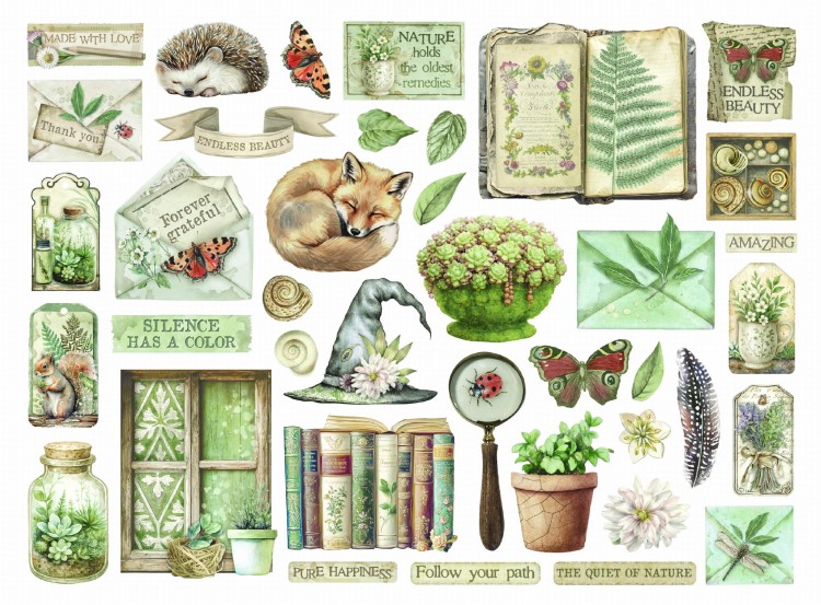 Zestaw tekturowych wyciętych elementów "Herbarium Silvae" Die Cuts - Stamperia DFLDC123_1A.jpg