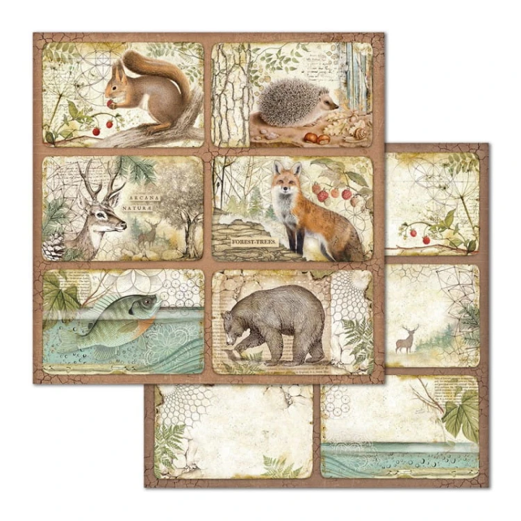 stamperia-blok-papierow-scrap-30x30cm-forest-10szt (9).jpg