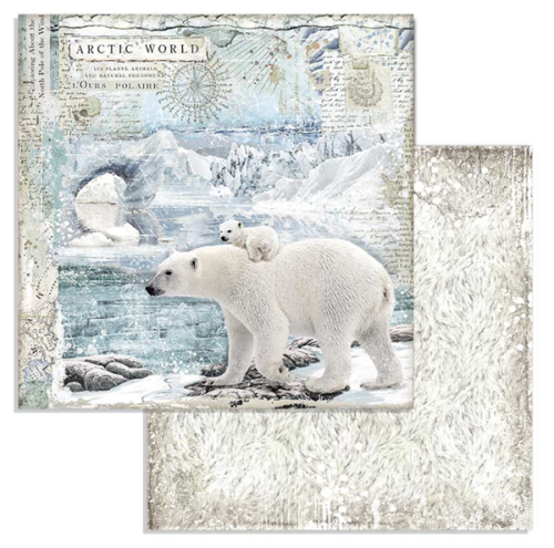 Zestaw papierów Arctic Antarctic 30x30cm 10szt Stamperia SBBL77-3T.png