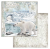 Zestaw papierów Arctic Antarctic 30x30cm 10szt Stamperia SBBL77-3T.png