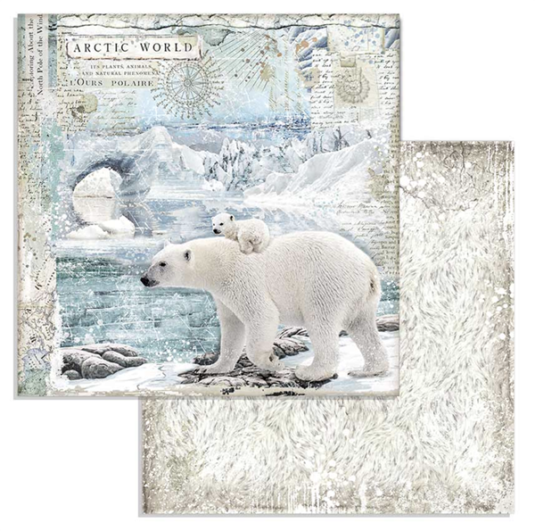 Zestaw papierów Arctic Antarctic 30x30cm 10szt Stamperia SBBL77-3T.png