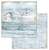 Zestaw papierów Arctic Antarctic 30x30cm 10szt Stamperia SBBL77-4T.png