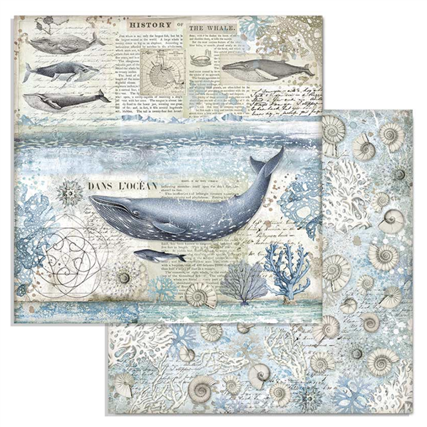 Zestaw papierów Arctic Antarctic 30x30cm 10szt Stamperia SBBL77-5T.png