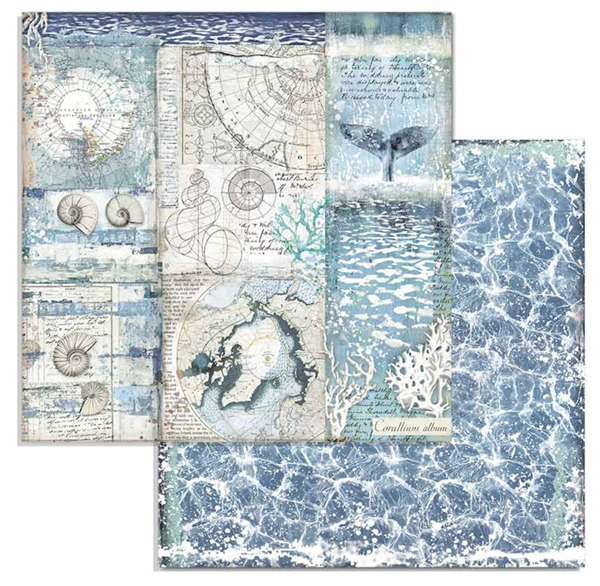 Zestaw papierów Arctic Antarctic 30x30cm 10szt Stamperia SBBL77-7T.png
