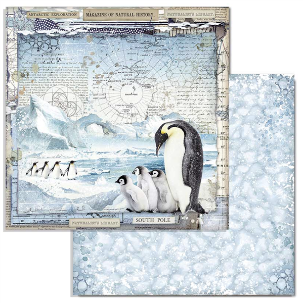 Zestaw papierów Arctic Antarctic 30x30cm 10szt Stamperia SBBL77-8T.png