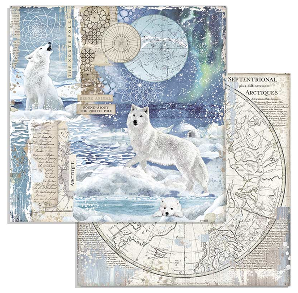 Zestaw papierów Arctic Antarctic 30x30cm 10szt Stamperia SBBL77-9T.png