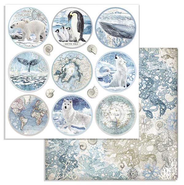 Zestaw papierów Arctic Antarctic 30x30cm 10szt Stamperia SBBL77-11T.png