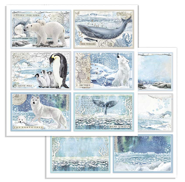 Zestaw papierów Arctic Antarctic 30x30cm 10szt Stamperia SBBL77-12T.png