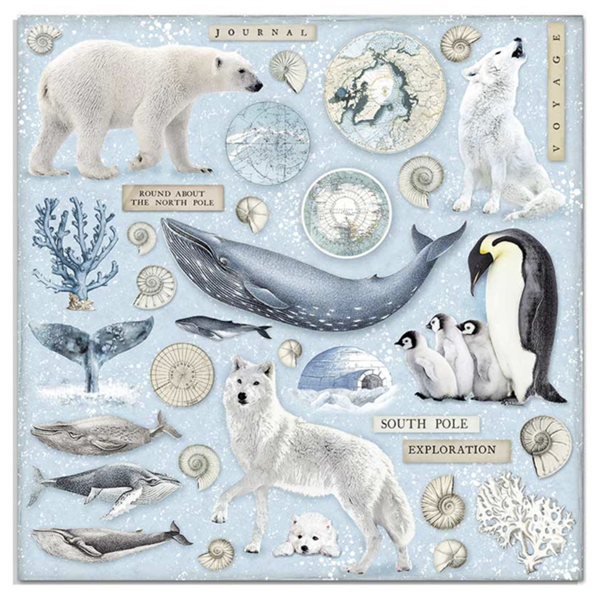 Zestaw papierów Arctic Antarctic 30x30cm 10szt Stamperia SBBL77-13T.png