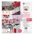Zestaw papierów Magnolia Rouge 30x30 Prima Marketing 658205.jpg