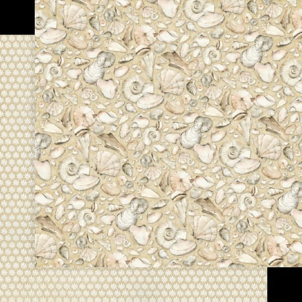 4502796-every-seashell-has-a-story-layered-600x600.jpg