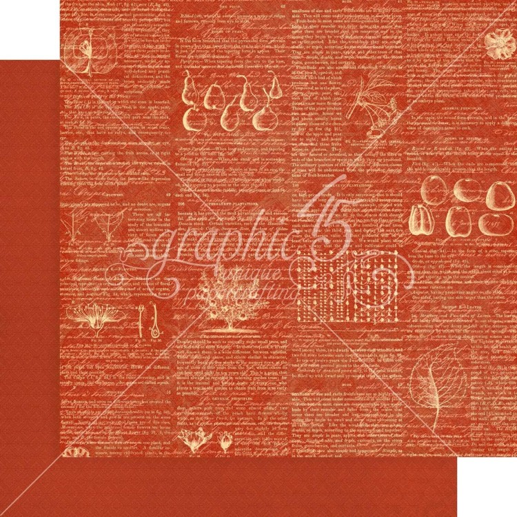 Zestaw papierów do scrapbookingu 30x30 Fruit &amp; Flora - Patterns Pack - Graphic45 4502001-4.jpg