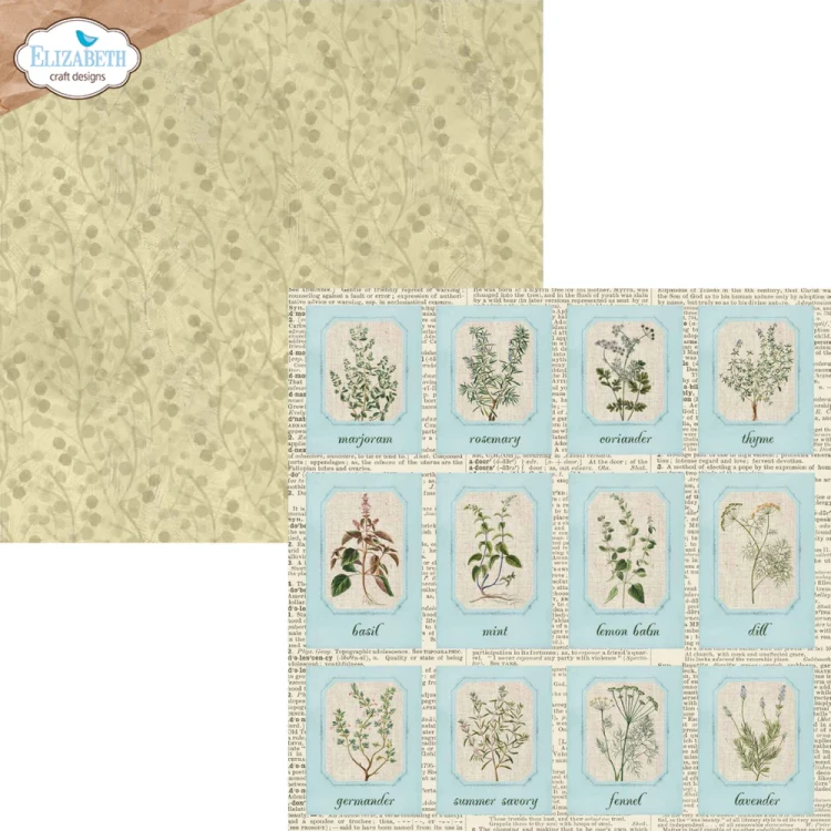 Zestaw papierów do scrapbookingu 30x30 Delightful Discovery - ELIZABETH craft designs C041-09.webp