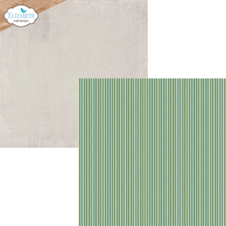 Zestaw papierów do scrapbookingu 30x30 Delightful Discovery - ELIZABETH craft designs C041-10.webp