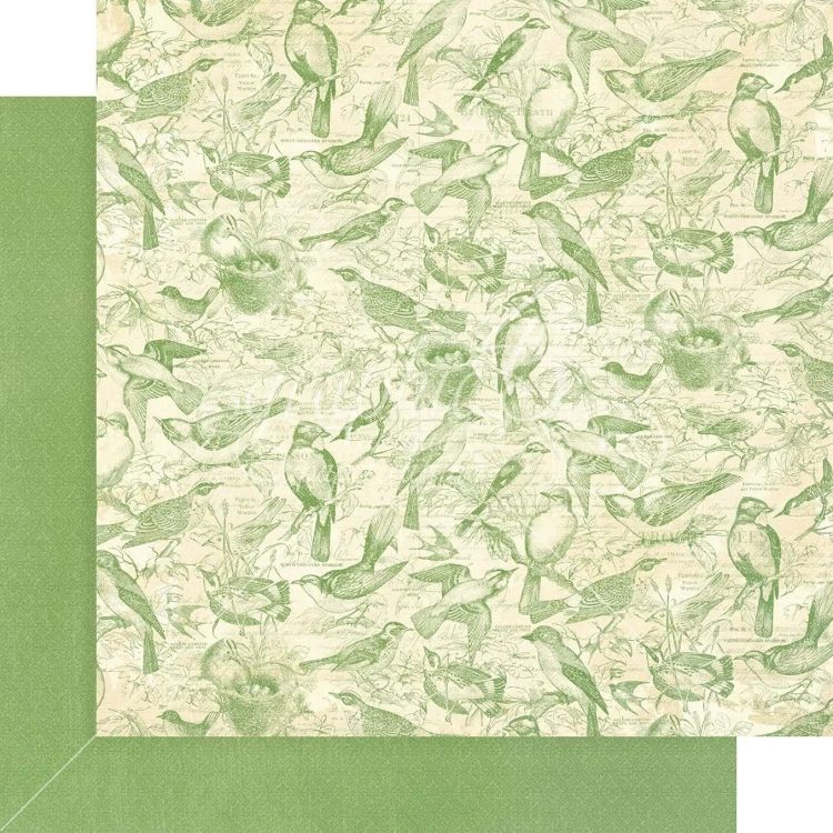 Zestaw papierów do scrapbookingu 30x30 Bird Watcher - Patterns Pack - Graphic45 4502212-3.jpg