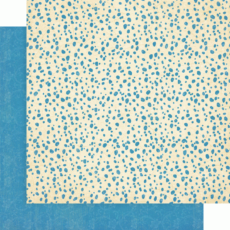 Zestaw papierów do scrapbookingu 30x30 Well Groomed - Patterns Pack - Graphic45 4502267-2.jpg