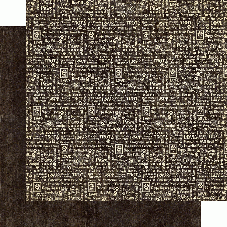 Zestaw papierów do scrapbookingu 30x30 Well Groomed - Patterns Pack - Graphic45 4502267-4.jpg