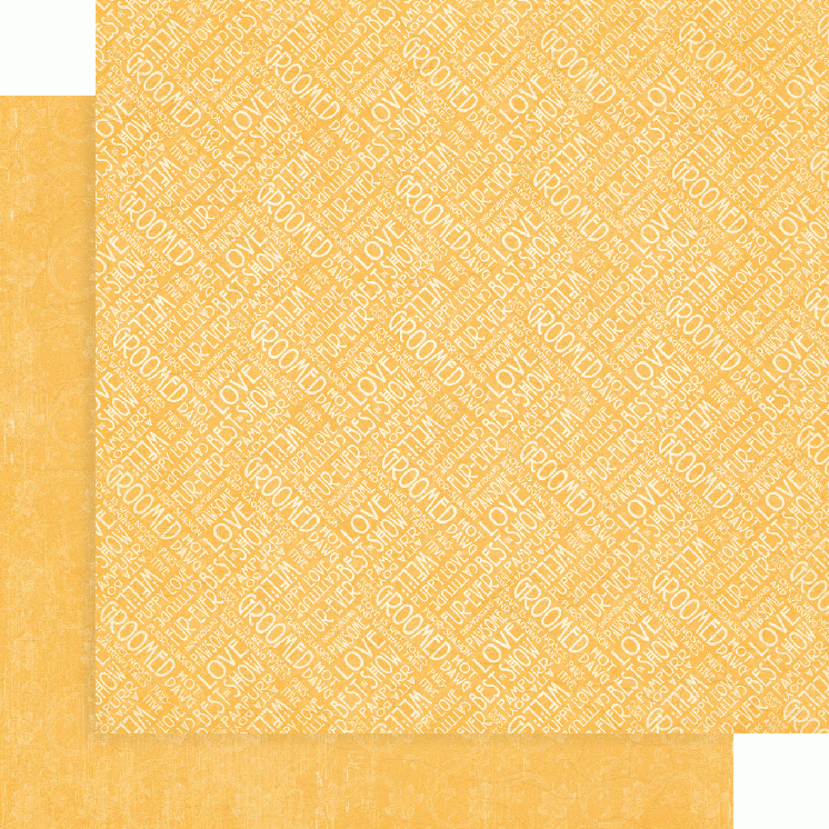 Zestaw papierów do scrapbookingu 30x30 Well Groomed - Patterns Pack - Graphic45 4502267-6.jpg
