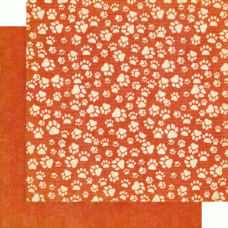Zestaw papierów do scrapbookingu 30x30 Well Groomed - Patterns Pack - Graphic45 4502267-7.jpg