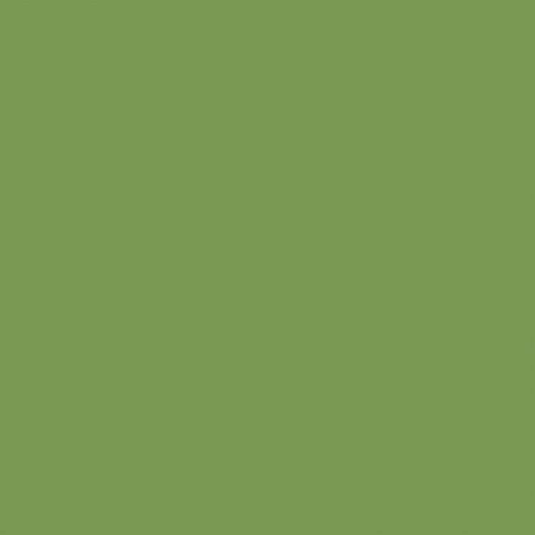 WTP363019_Green_Brown_A.jpg