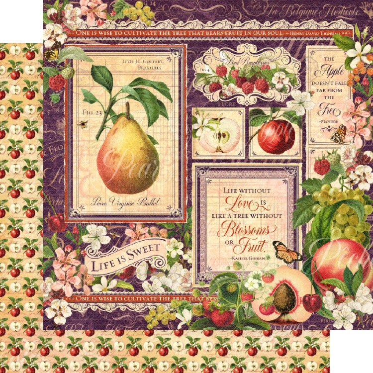 Zestaw papierów do scrapbookingu 20x20 Fruit &amp; Flora - Graphic45 4501999-4.jpeg