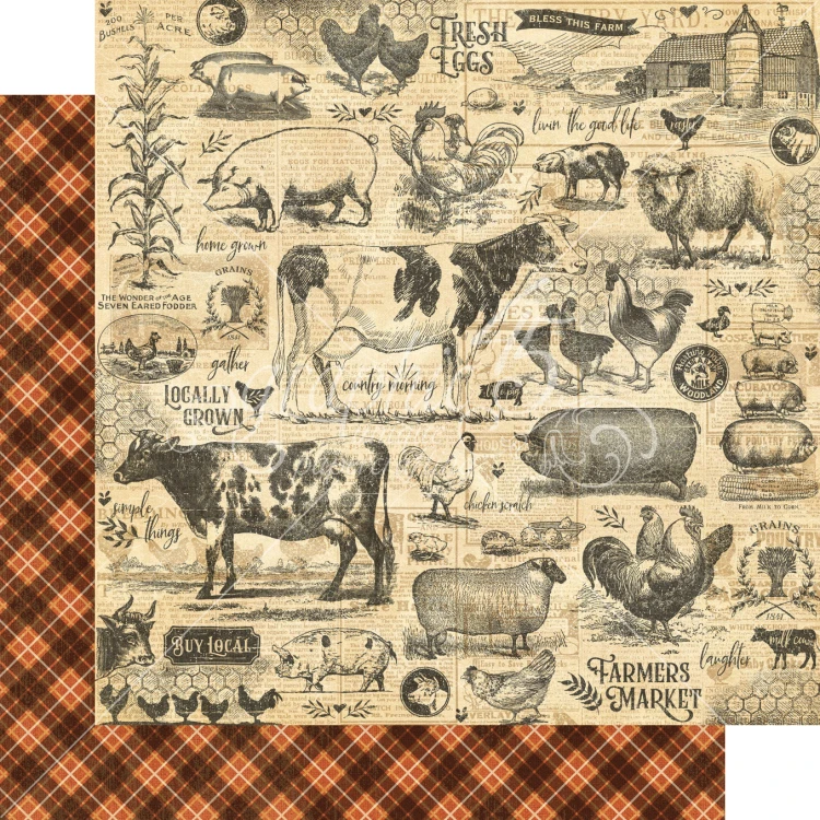 Zestaw papierów do scrapbookingu 20x20 Farmhouse - Graphic45 4502058-5.jpg