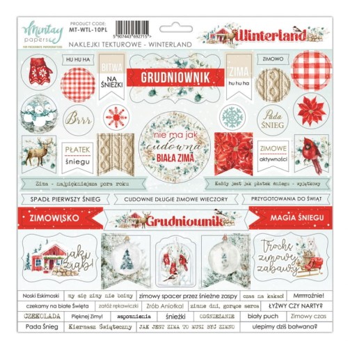 Zestaw naklejek tekturowych 30x30 Winterland - PL - Mintay MT-WTL-10PL.jpg