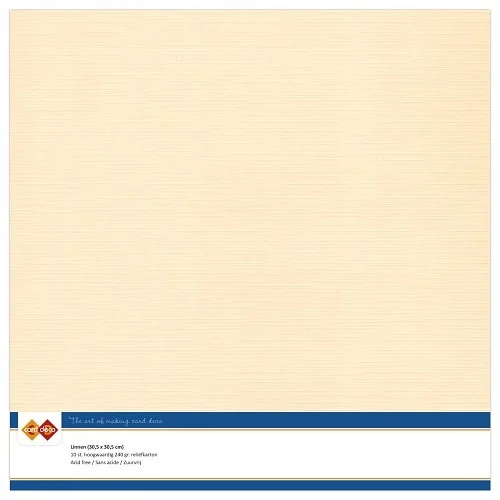 Karton dekoracyjny lniany 30,5 x 30,5 cm 10 arkuszy Chamois LKK-SC07.webp