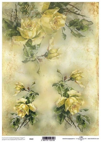 Kalka - papier półprzezroczysty do scrapbookingu A4 - ITD Collection P0019.jpg